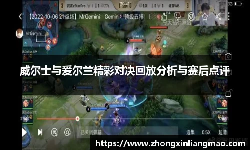 威尔士与爱尔兰精彩对决回放分析与赛后点评